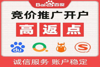 专业SEM运营托管服务案例分析